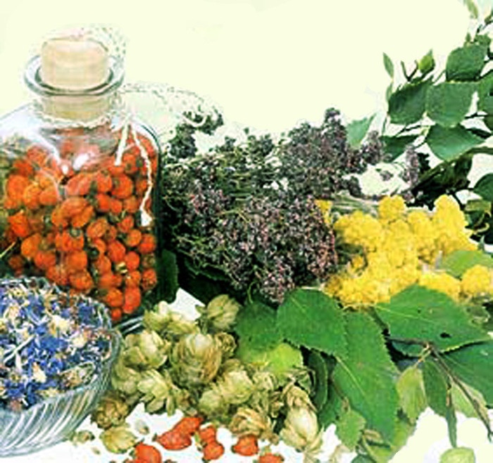 Иллюстрация к книге — 100 правил отличного здоровья [_10.jpg]