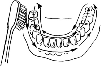 Иллюстрация к книге — 36 и 6 правил здоровых зубов [_10.jpg]