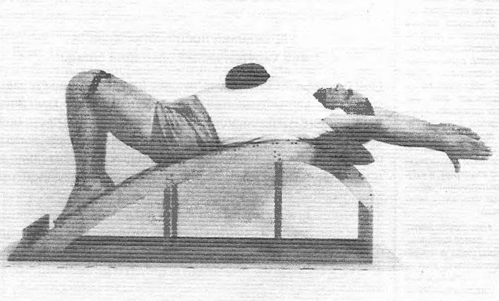 Иллюстрация к книге — Новая йога для тех, кому за 50: обратите вспять процессы старения. Руководство по йоге для людей среднего и старшего возраста [image34.jpg]