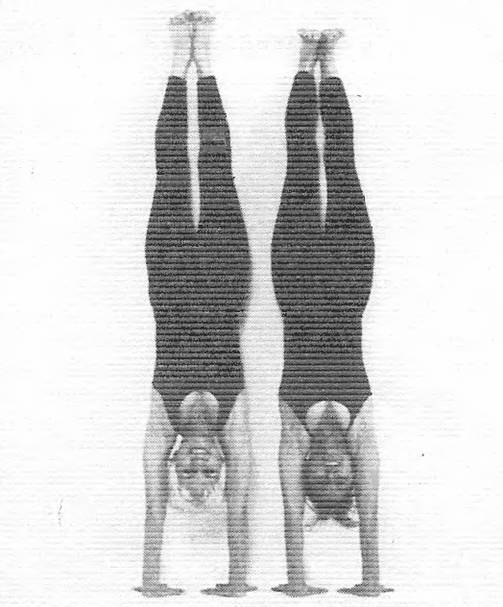 Иллюстрация к книге — Новая йога для тех, кому за 50: обратите вспять процессы старения. Руководство по йоге для людей среднего и старшего возраста [image48.jpg]