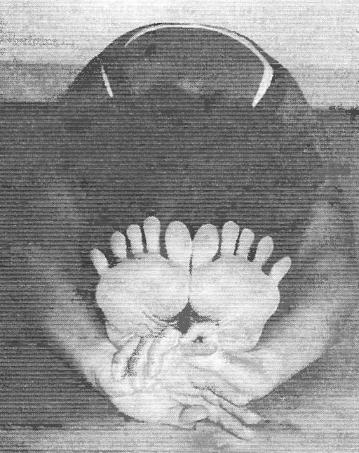 Иллюстрация к книге — Новая йога для тех, кому за 50: обратите вспять процессы старения. Руководство по йоге для людей среднего и старшего возраста [image56.jpg]