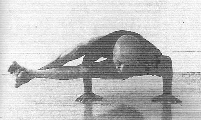 Иллюстрация к книге — Новая йога для тех, кому за 50: обратите вспять процессы старения. Руководство по йоге для людей среднего и старшего возраста [image6.jpg]