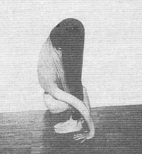 Иллюстрация к книге — Новая йога для тех, кому за 50: обратите вспять процессы старения. Руководство по йоге для людей среднего и старшего возраста [image63.jpg]