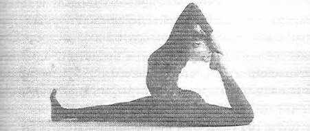 Иллюстрация к книге — Новая йога для тех, кому за 50: обратите вспять процессы старения. Руководство по йоге для людей среднего и старшего возраста [image7.jpg]