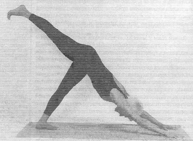 Иллюстрация к книге — Новая йога для тех, кому за 50: обратите вспять процессы старения. Руководство по йоге для людей среднего и старшего возраста [image79.jpg]