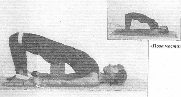 Иллюстрация к книге — Новая йога для тех, кому за 50: обратите вспять процессы старения. Руководство по йоге для людей среднего и старшего возраста [image92.jpg]