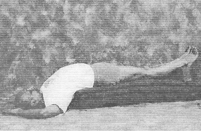 Иллюстрация к книге — Новая йога для тех, кому за 50: обратите вспять процессы старения. Руководство по йоге для людей среднего и старшего возраста [image94.jpg]