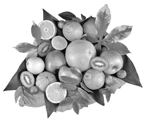 Иллюстрация к книге — Система снижения веса «25 за 5». Открыть матрешку [i_009.jpg]