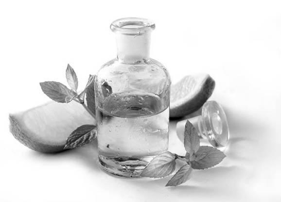 Иллюстрация к книге — Боль в коленях. Найти и устранить причину [i_009.jpg]