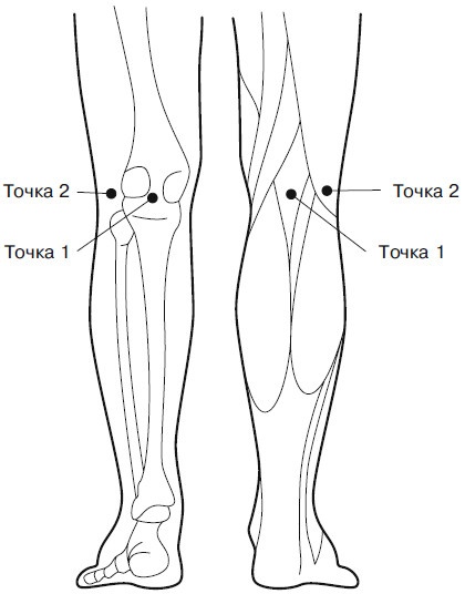 Иллюстрация к книге — Боль в коленях. Найти и устранить причину [i_011.jpg]
