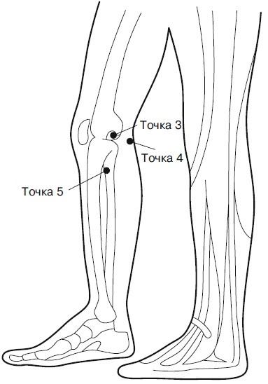 Иллюстрация к книге — Боль в коленях. Найти и устранить причину [i_012.jpg]