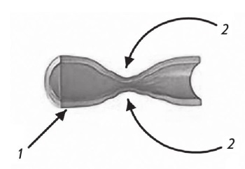 Иллюстрация к книге — Стенокардия [i_007.jpg]