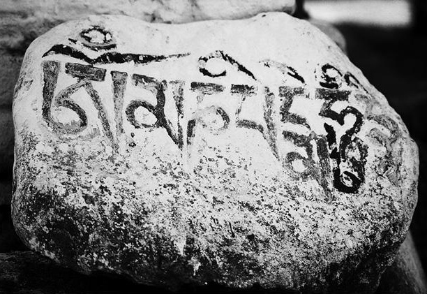 Иллюстрация к книге — Исцеляющая сила без медицины. Руководство к преодолению жизненных препятствий и возвращению радости [_03.jpg]