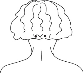 Иллюстрация к книге — Энергетические растяжки. Осознанные движения для гибкости, красоты и долголетия [ris30.jpg]