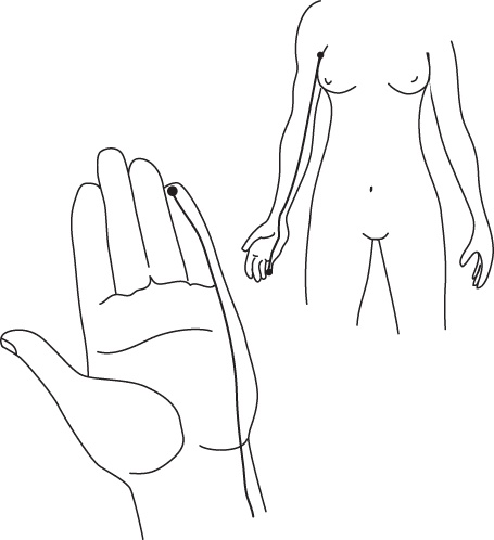 Иллюстрация к книге — Энергетические растяжки. Осознанные движения для гибкости, красоты и долголетия [ris34.jpg]