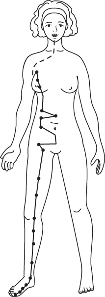 Иллюстрация к книге — Энергетические растяжки. Осознанные движения для гибкости, красоты и долголетия [ris37.jpg]