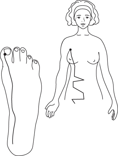 Иллюстрация к книге — Энергетические растяжки. Осознанные движения для гибкости, красоты и долголетия [ris38.jpg]