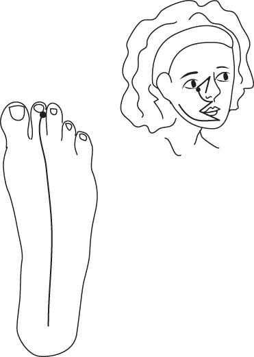 Иллюстрация к книге — Энергетические растяжки. Осознанные движения для гибкости, красоты и долголетия [ris40.jpg]