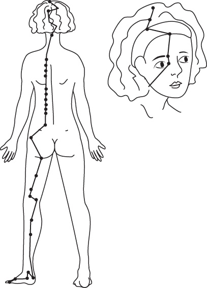 Иллюстрация к книге — Энергетические растяжки. Осознанные движения для гибкости, красоты и долголетия [ris41.jpg]