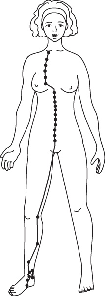 Иллюстрация к книге — Энергетические растяжки. Осознанные движения для гибкости, красоты и долголетия [ris43.jpg]