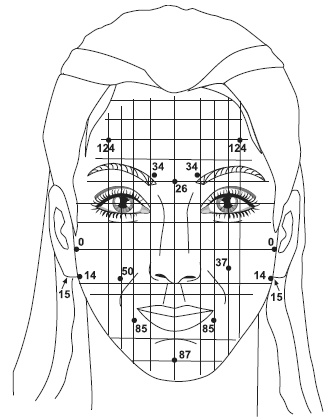 Иллюстрация к книге — Точки болезни и здоровья на вашем лице [autogen_ebook_id25.jpg]