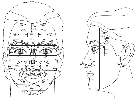Иллюстрация к книге — Точки болезни и здоровья на вашем лице [autogen_ebook_id3.jpg]