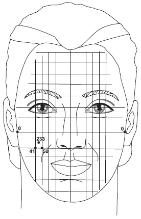 Иллюстрация к книге — Точки болезни и здоровья на вашем лице [autogen_ebook_id5.jpg]