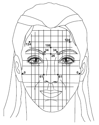 Иллюстрация к книге — Точки болезни и здоровья на вашем лице [autogen_ebook_id64.jpg]