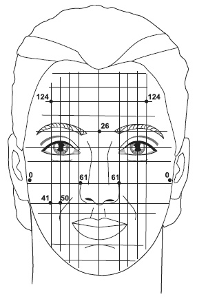 Иллюстрация к книге — Точки болезни и здоровья на вашем лице [autogen_ebook_id82.jpg]