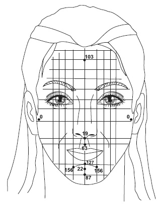 Иллюстрация к книге — Точки болезни и здоровья на вашем лице [autogen_ebook_id84.jpg]
