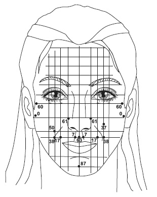 Иллюстрация к книге — Точки болезни и здоровья на вашем лице [autogen_ebook_id87.jpg]