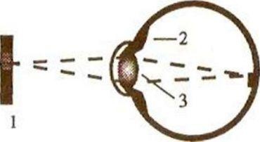 Иллюстрация к книге — Эффективные методы улучшения зрения. Для работающих на компьютере [i_012.jpg]