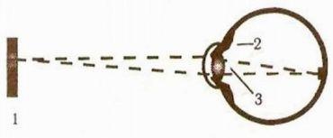 Иллюстрация к книге — Эффективные методы улучшения зрения. Для работающих на компьютере [i_013.jpg]