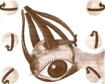 Иллюстрация к книге — Эффективные методы улучшения зрения. Для работающих на компьютере [i_017.jpg]