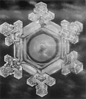 Иллюстрация к книге — Качая колыбель, или Профессия &quot;родитель&quot;. Любовь, воспитание, этапы развития [i_012.jpg]