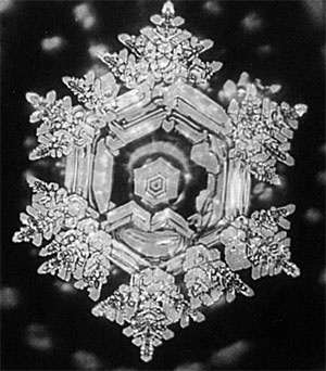 Иллюстрация к книге — Качая колыбель, или Профессия &quot;родитель&quot;. Любовь, воспитание, этапы развития [i_013.jpg]