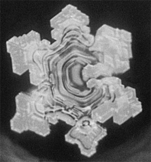 Иллюстрация к книге — Качая колыбель, или Профессия &quot;родитель&quot;. Любовь, воспитание, этапы развития [i_014.jpg]