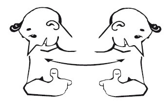 Иллюстрация к книге — Как учиться и не испортить зрение [i_062.jpg]