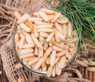 Иллюстрация к книге — Кулинарная энциклопедия. Том 28. П (Песто – Писту) [_64.jpg]