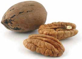 Иллюстрация к книге — Кулинарная энциклопедия. Том 27. П (Паштель – Пестик) [_11.jpg]