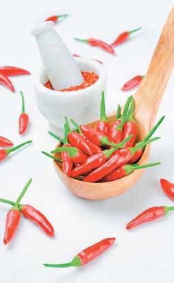 Иллюстрация к книге — Кулинарная энциклопедия. Том 27. П (Паштель – Пестик) [_47.jpg]