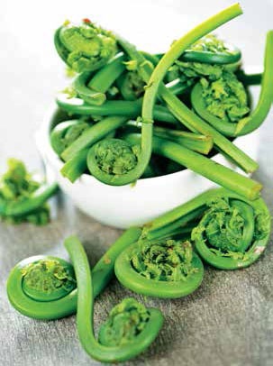 Иллюстрация к книге — Кулинарная энциклопедия. Том 26. П (Панфорте – Пашотница) [_17.jpg]