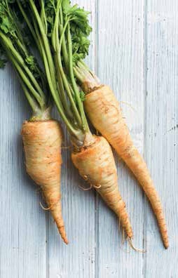 Иллюстрация к книге — Кулинарная энциклопедия. Том 26. П (Панфорте – Пашотница) [_51.jpg]