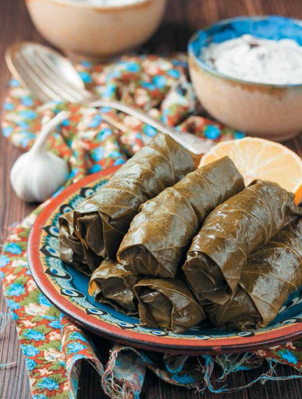 Иллюстрация к книге — Кулинарная энциклопедия. Том 26. П (Панфорте – Пашотница) [_68.jpg]