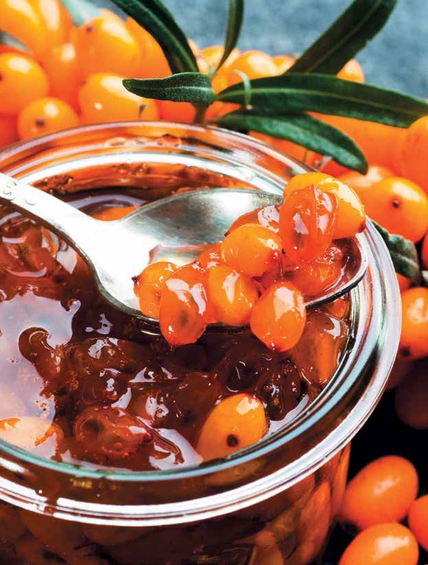 Иллюстрация к книге — Кулинарная энциклопедия. Том 24. О (Облепиха – Опёнок) [_3.jpg]