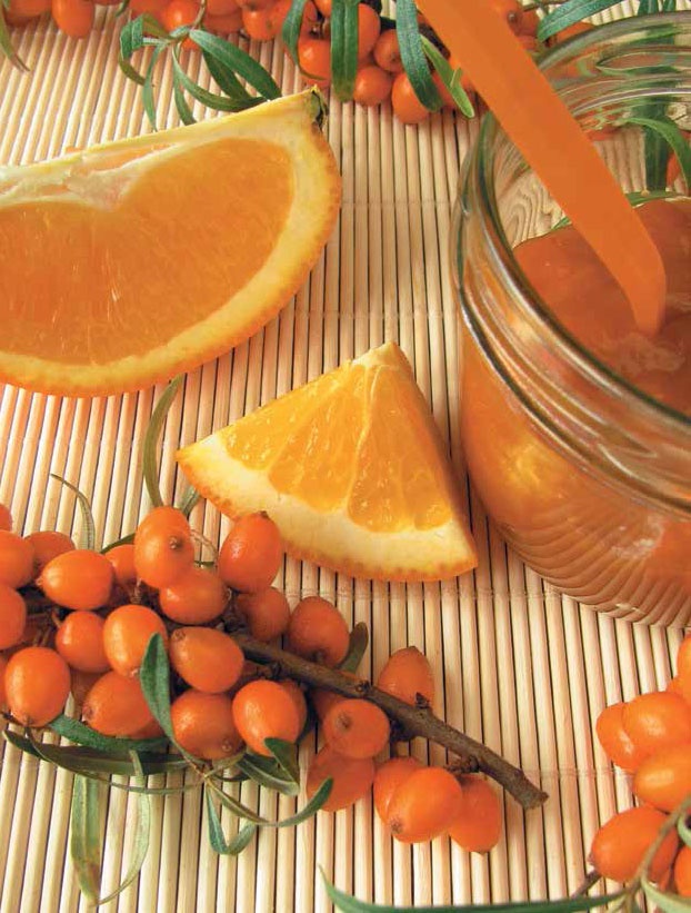 Иллюстрация к книге — Кулинарная энциклопедия. Том 24. О (Облепиха – Опёнок) [_4.jpg]