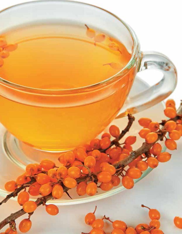 Иллюстрация к книге — Кулинарная энциклопедия. Том 24. О (Облепиха – Опёнок) [_5.jpg]