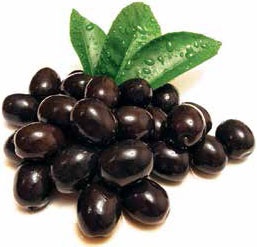 Иллюстрация к книге — Кулинарная энциклопедия. Том 24. О (Облепиха – Опёнок) [_72.jpg]