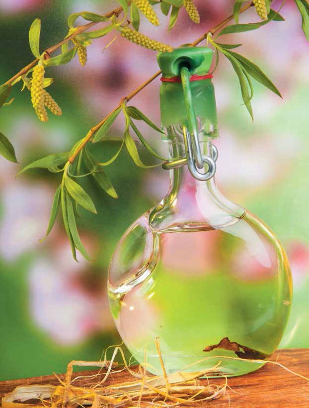 Иллюстрация к книге — Кулинарная энциклопедия. Том 23. Н-О (Налим – Облатка) [_19.jpg]