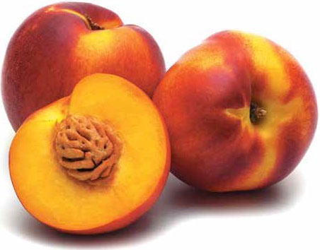 Иллюстрация к книге — Кулинарная энциклопедия. Том 23. Н-О (Налим – Облатка) [_42.jpg]